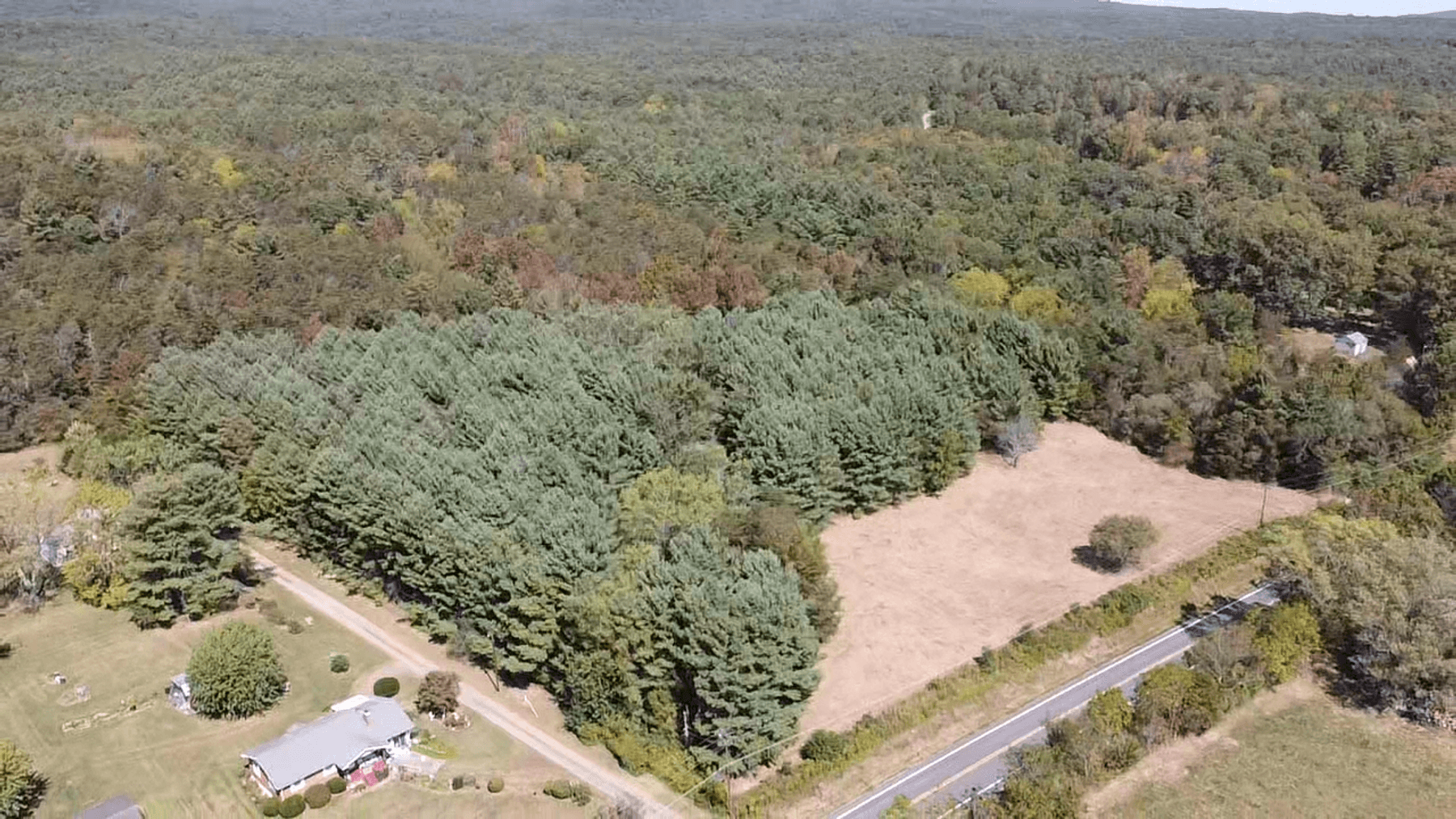 Image for **AUCTION CANCELED** 88+ Acres Wooded Property Bordering National Forest