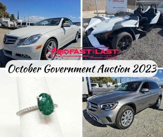 Image for October Government Auction 2023