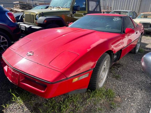 Image for February Auction 2024