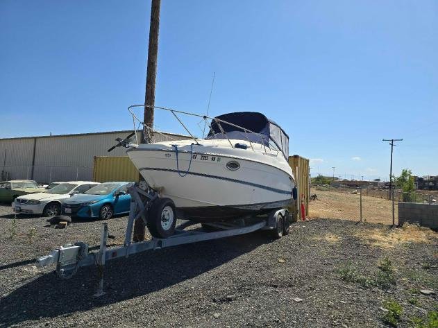 Image for August Treasures Auction 2024