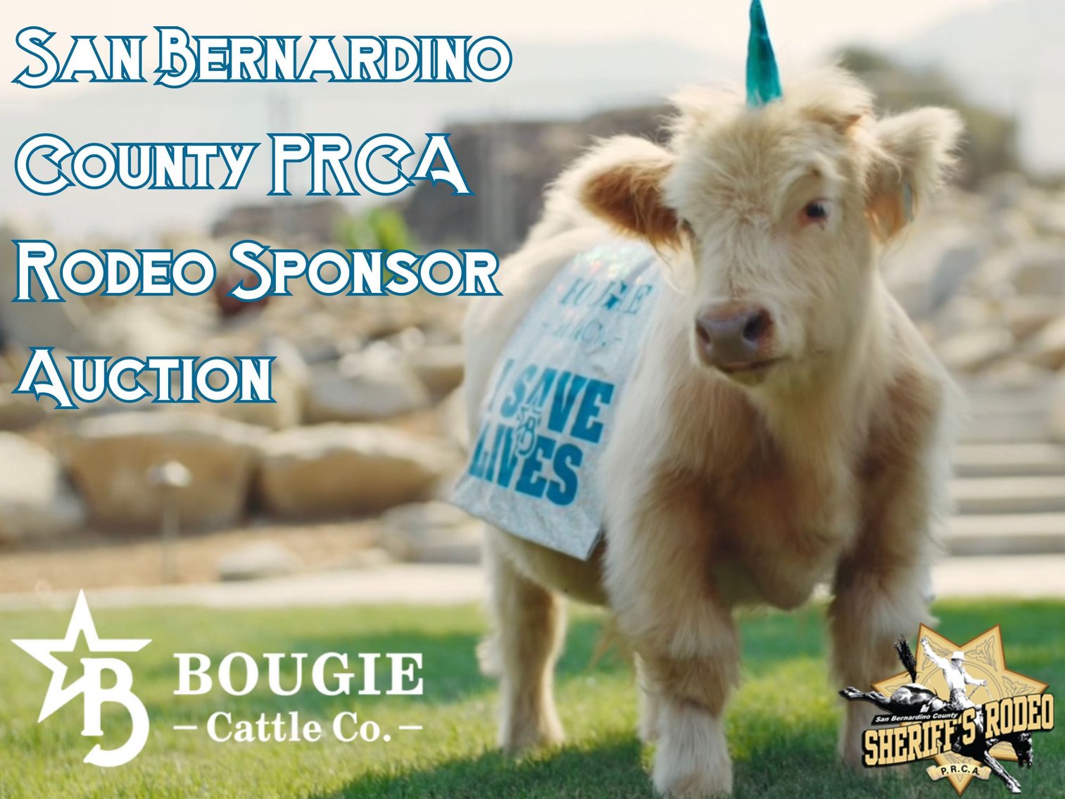 Image for San Bernardino County PRCA Rodeo Sponser Auction