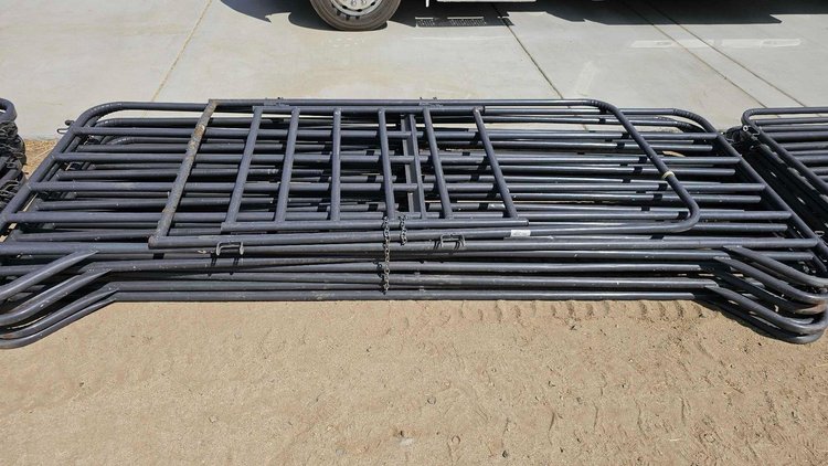 Image for Texas Longhorns Dispersal Sale!!  Nigerian Goats, Panels And More...