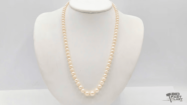 Image for Laguna Niguel Auction 2026