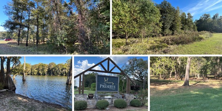 Image for Cypress Lakes Circle, Cleveland, TX Real Estate Online Auction