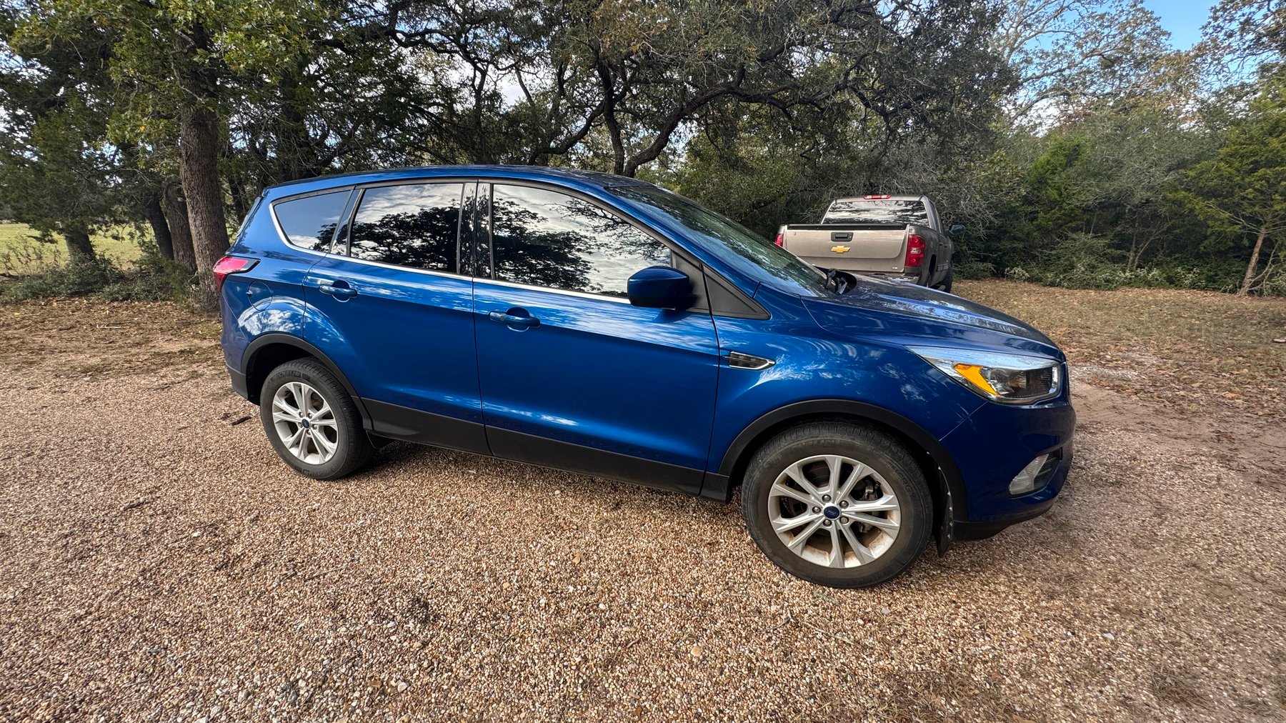 Image for Rosanky Online Estate Auction