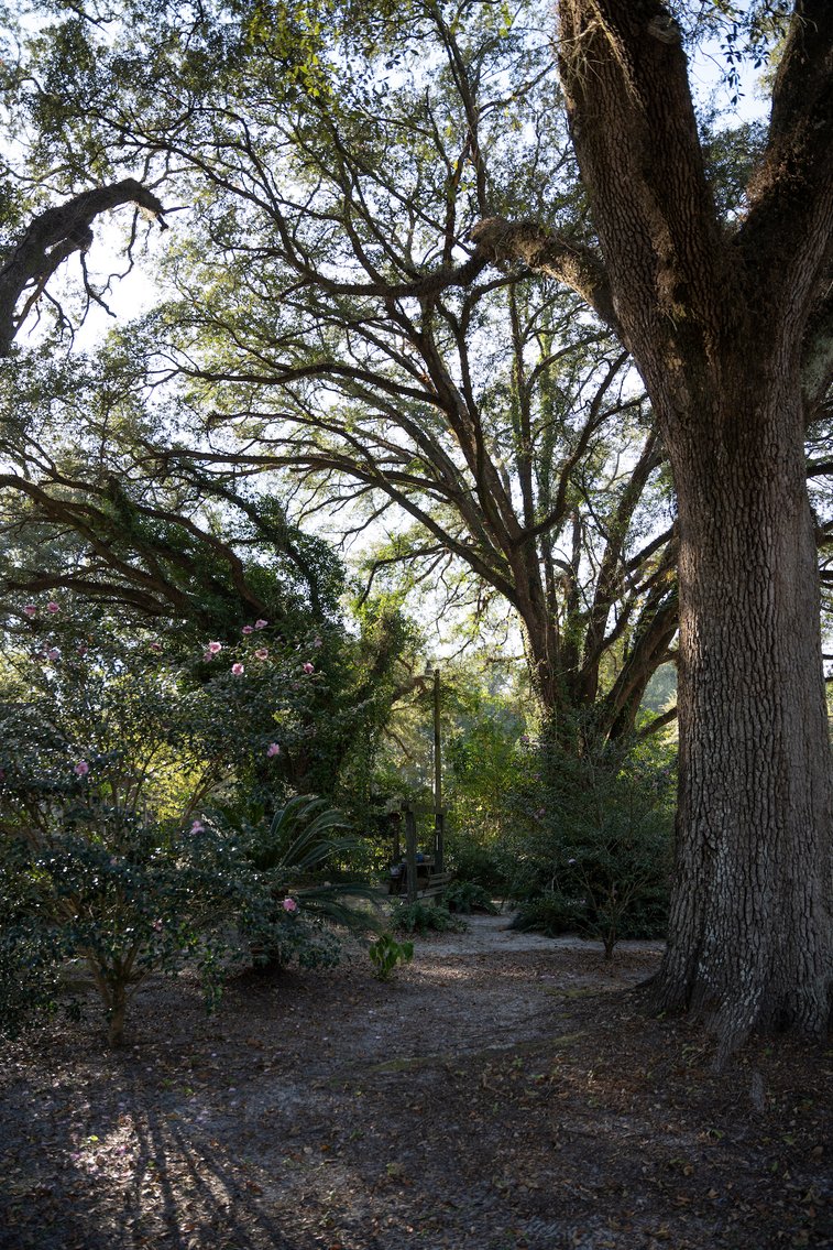 Image for Country Home and 8.5 Acres Located in Thomas County, Georgia