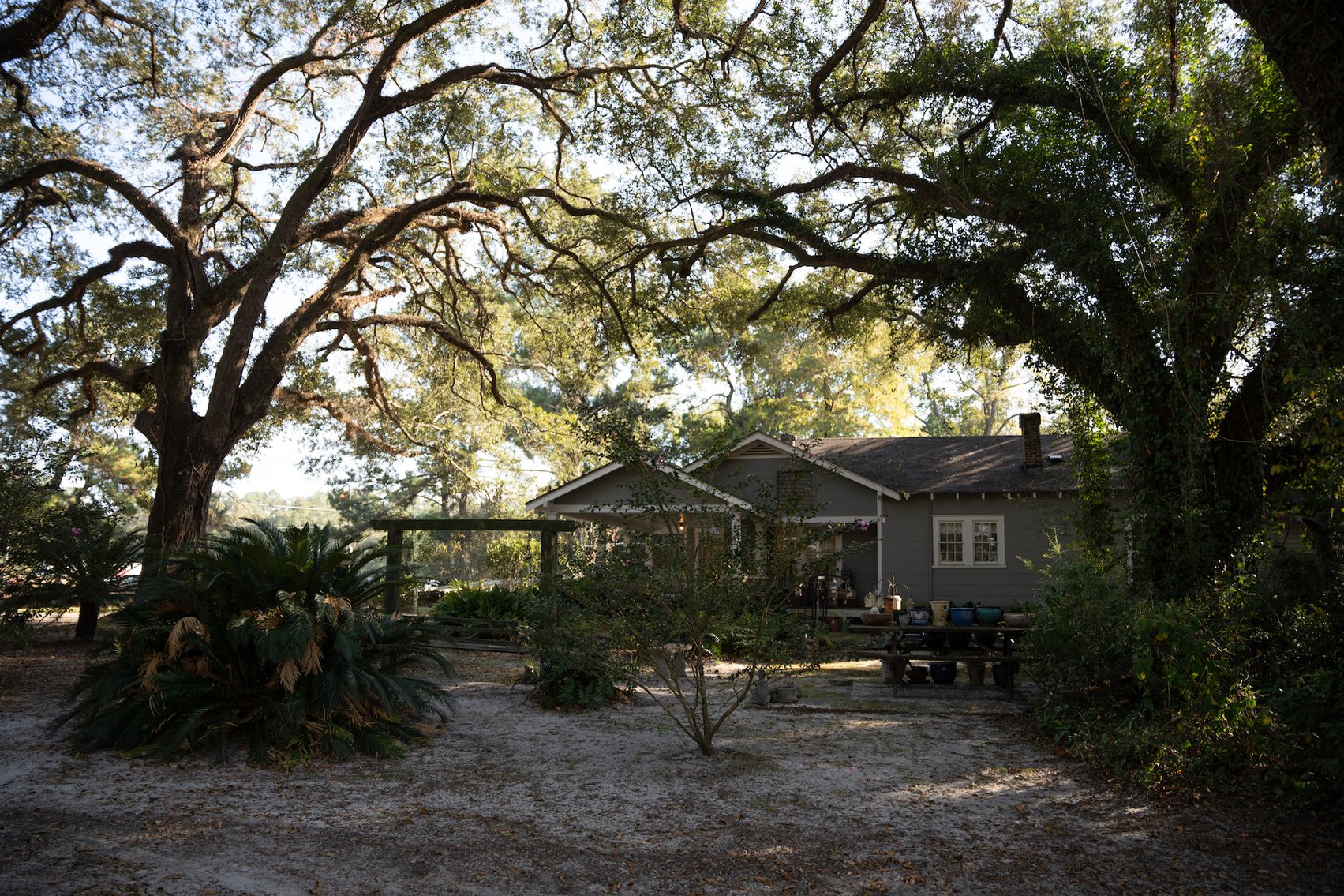 Image for Country Home and 8.5 Acres Located in Thomas County, Georgia