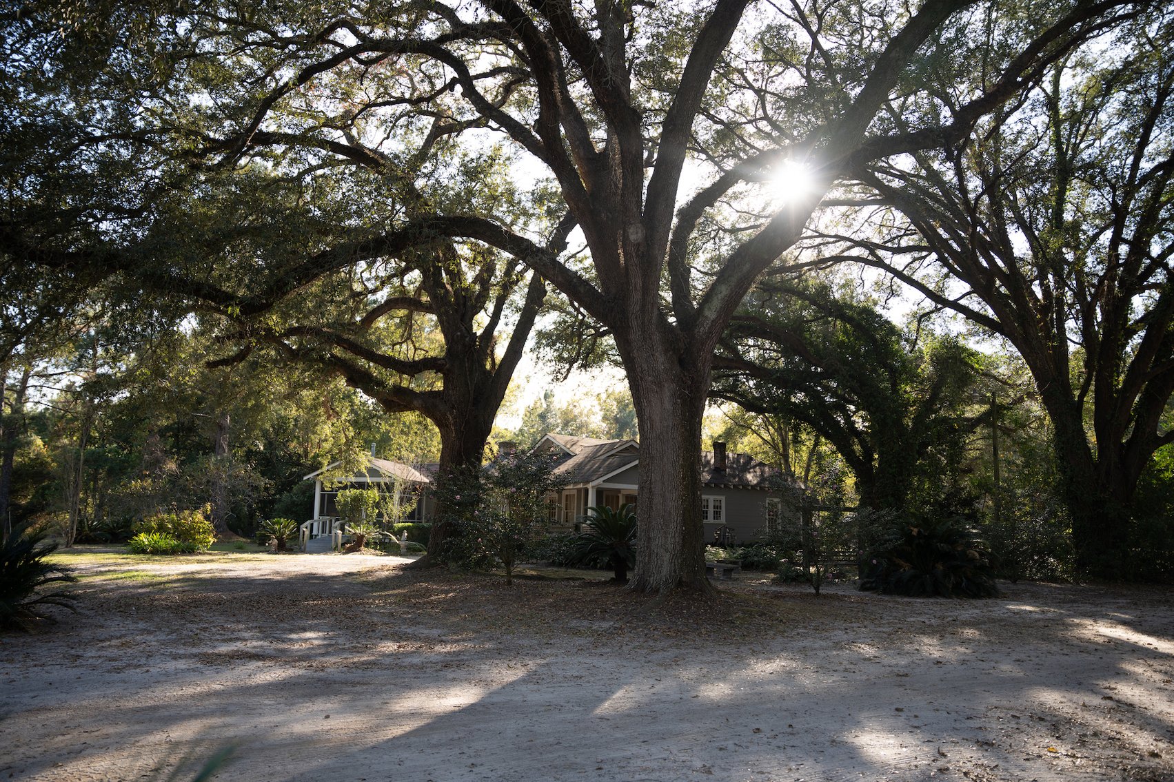 Image for Country Home and 8.5 Acres Located in Thomas County, Georgia