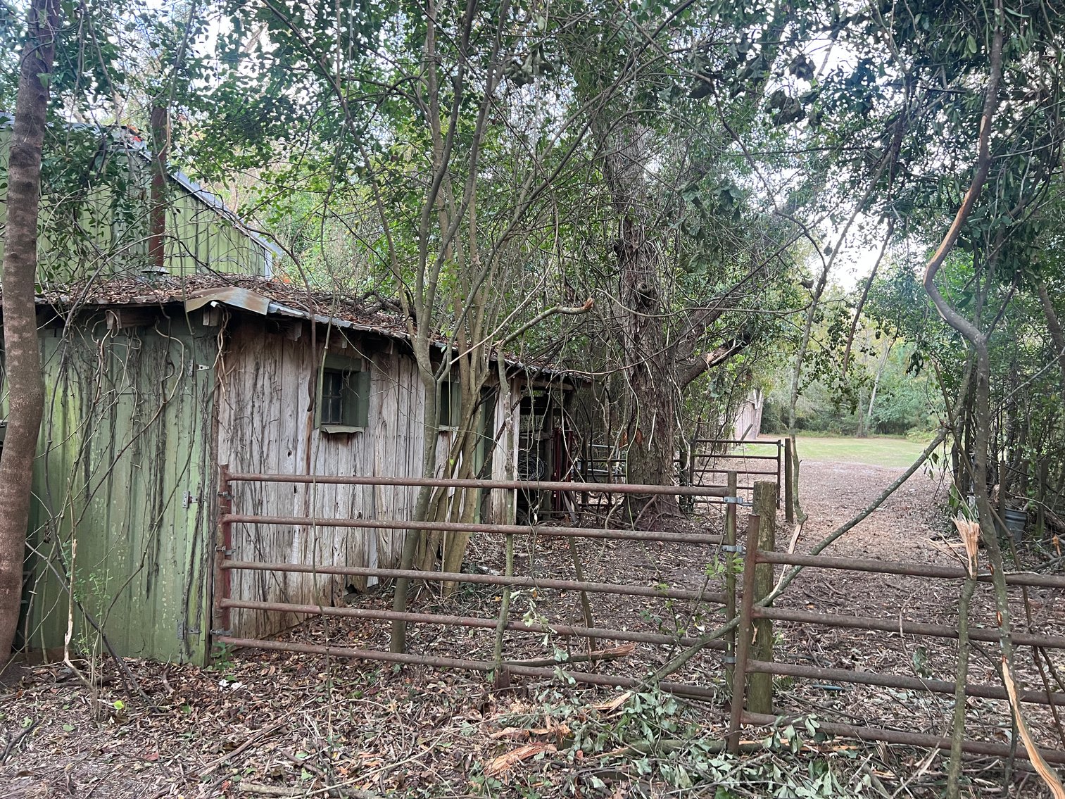 Image for Country Home and 8.5 Acres Located in Thomas County, Georgia