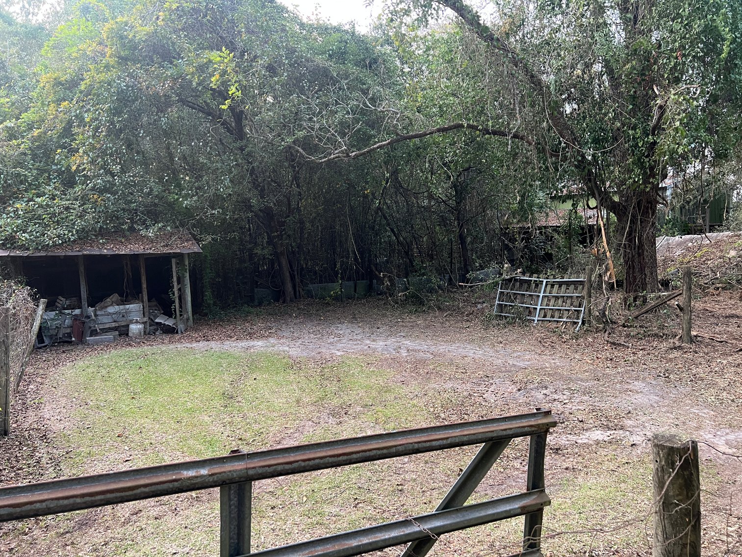 Image for Country Home and 8.5 Acres Located in Thomas County, Georgia