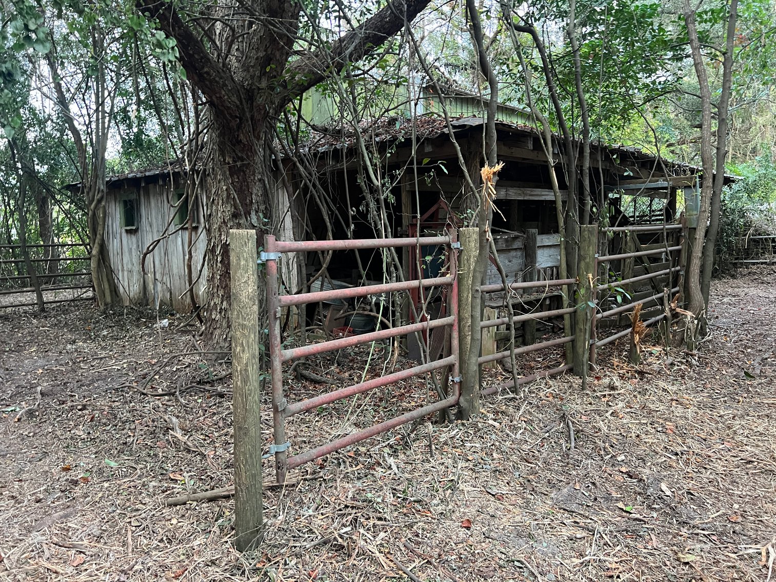 Image for Country Home and 8.5 Acres Located in Thomas County, Georgia