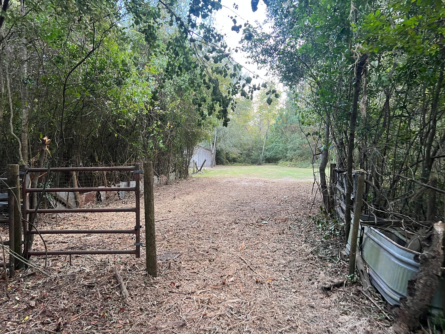 Image for Country Home and 8.5 Acres Located in Thomas County, Georgia