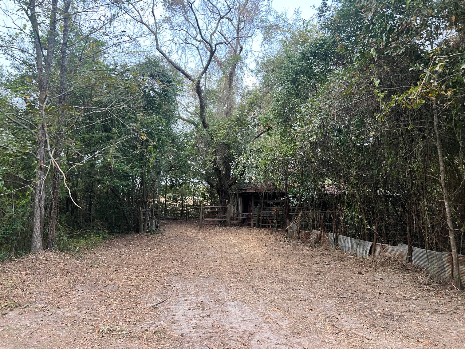 Image for Country Home and 8.5 Acres Located in Thomas County, Georgia