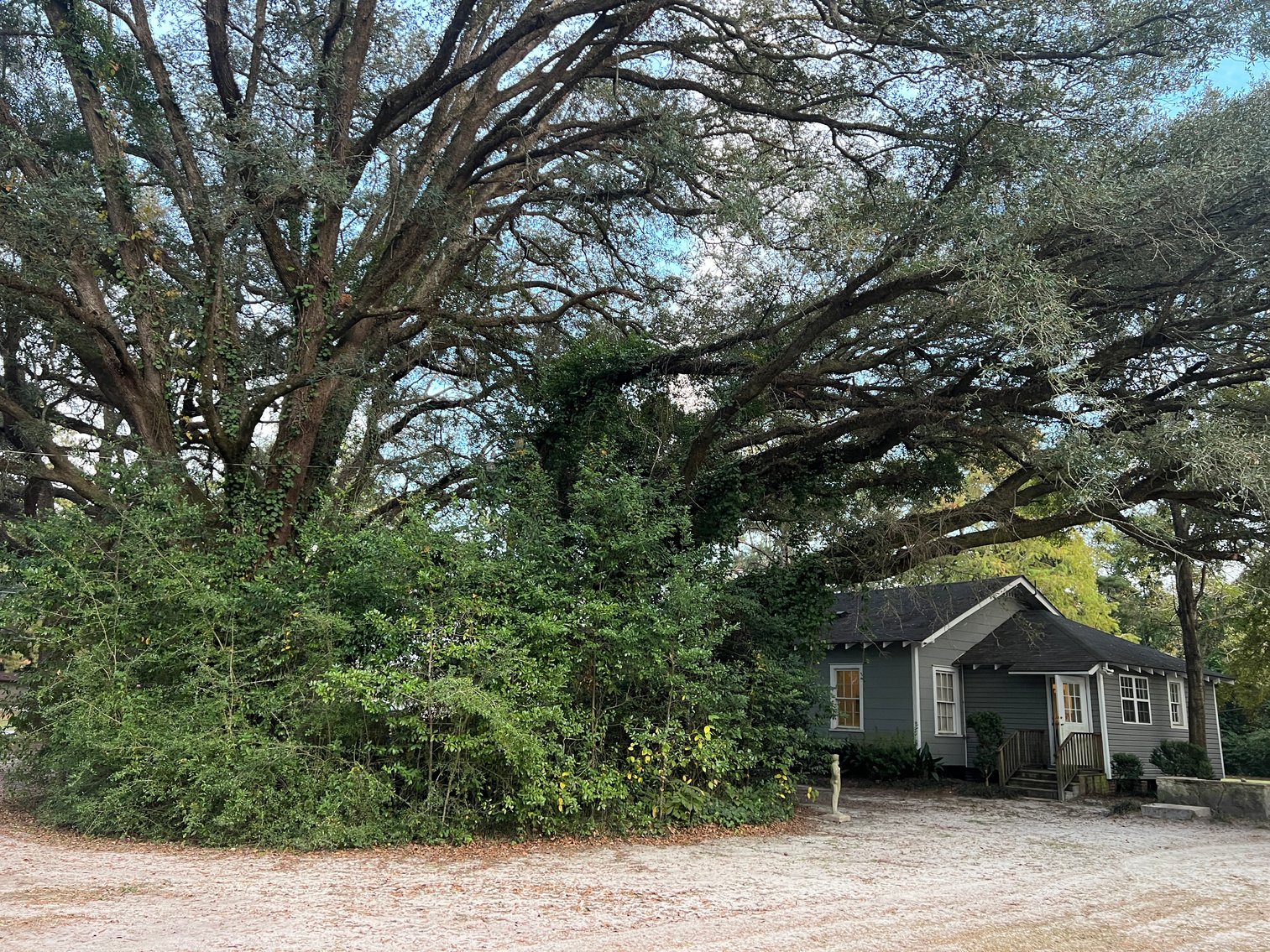 Image for Country Home and 8.5 Acres Located in Thomas County, Georgia