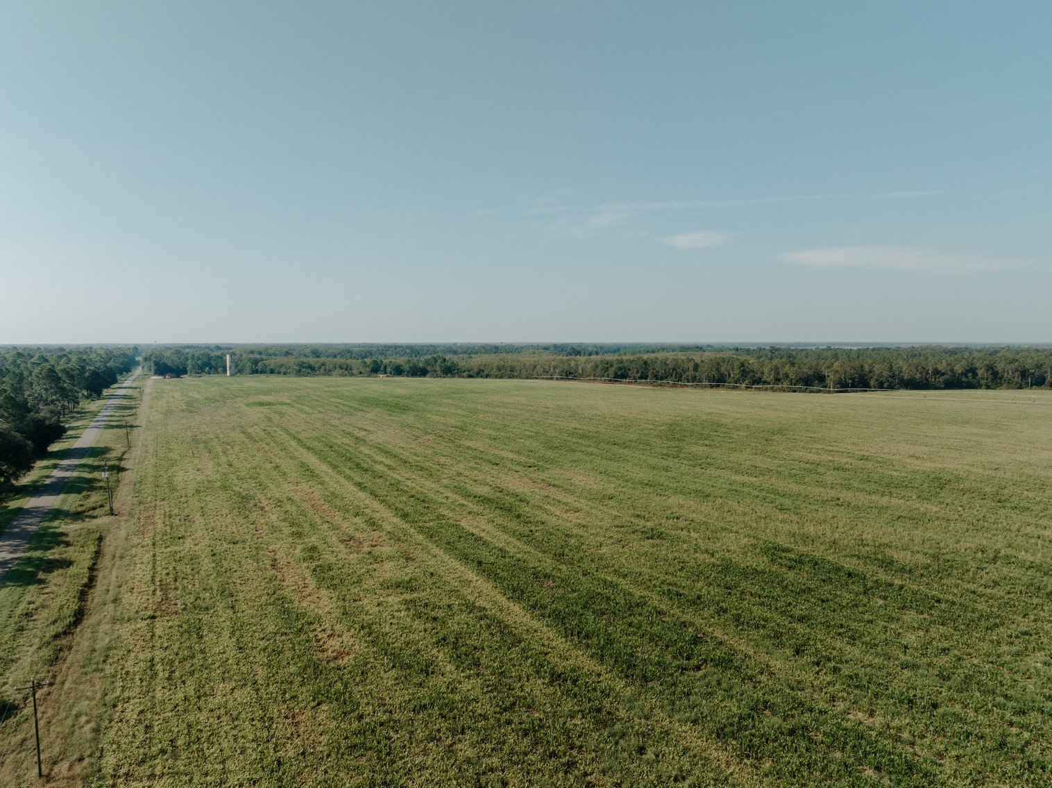 Image for Two Farms Totaling 185 +/- Acres Located in Calhoun County – The Estate of Curtis B. Adams