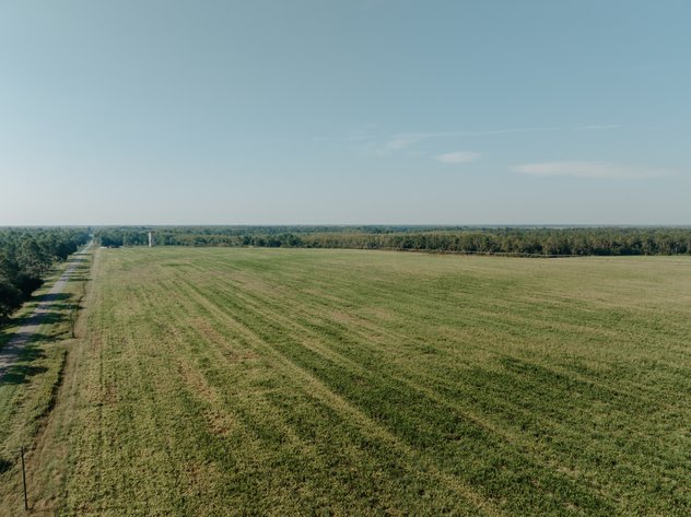 Image for Two Farms Totaling 185 +/- Acres Located in Calhoun County – The Estate of Curtis B. Adams