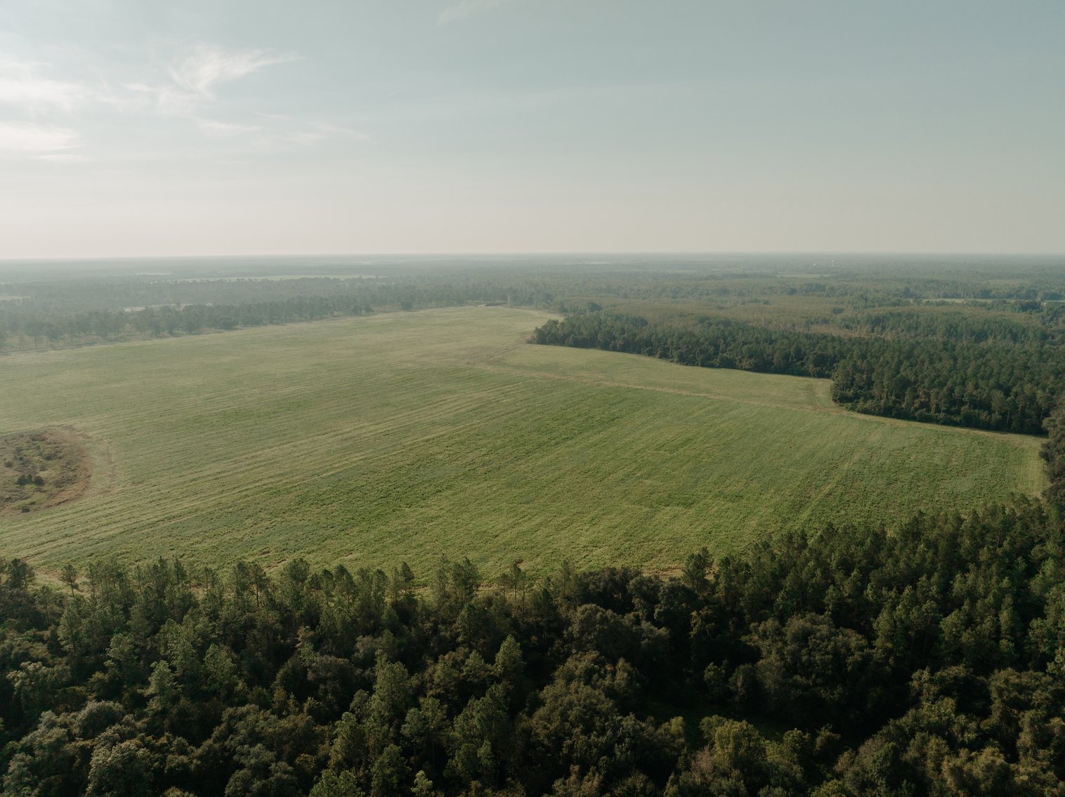 Image for Two Farms Totaling 185 +/- Acres Located in Calhoun County – The Estate of Curtis B. Adams