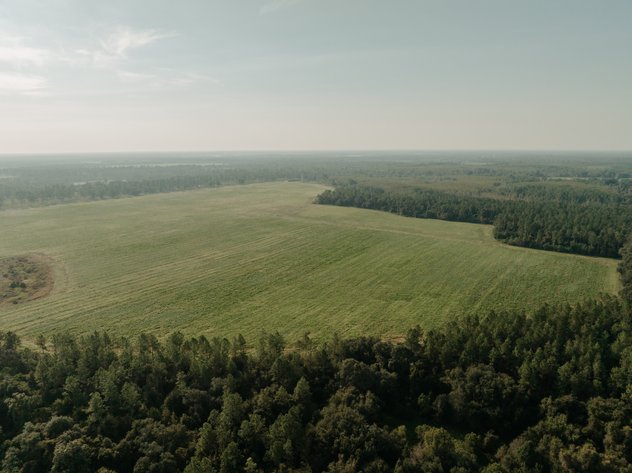 Image for Two Farms Totaling 185 +/- Acres Located in Calhoun County – The Estate of Curtis B. Adams