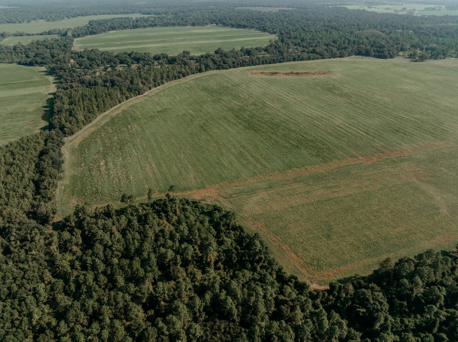 Image for Two Farms Totaling 185 +/- Acres Located in Calhoun County – The Estate of Curtis B. Adams