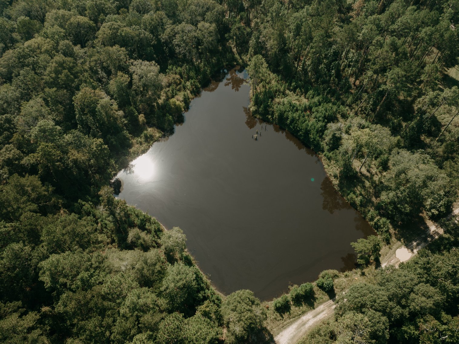 Image for 104+/- Acre Timber Tract in Calhoun County - The Curtis B. Adams Estate