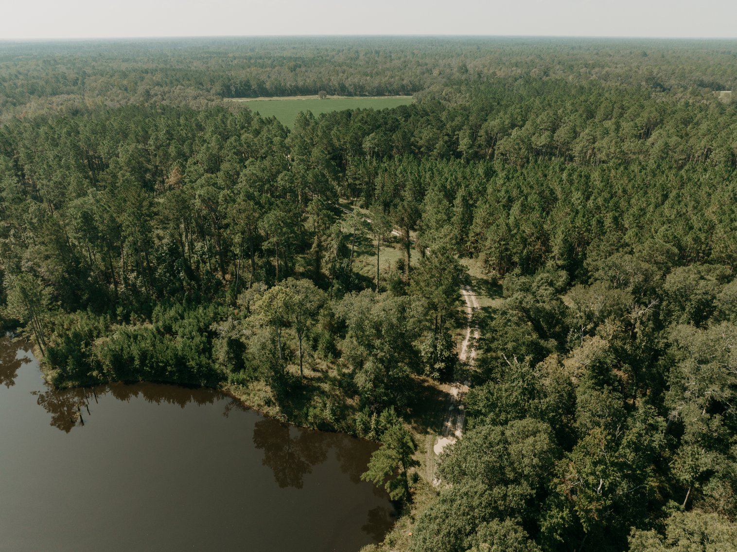 Image for 104+/- Acre Timber Tract in Calhoun County - The Curtis B. Adams Estate