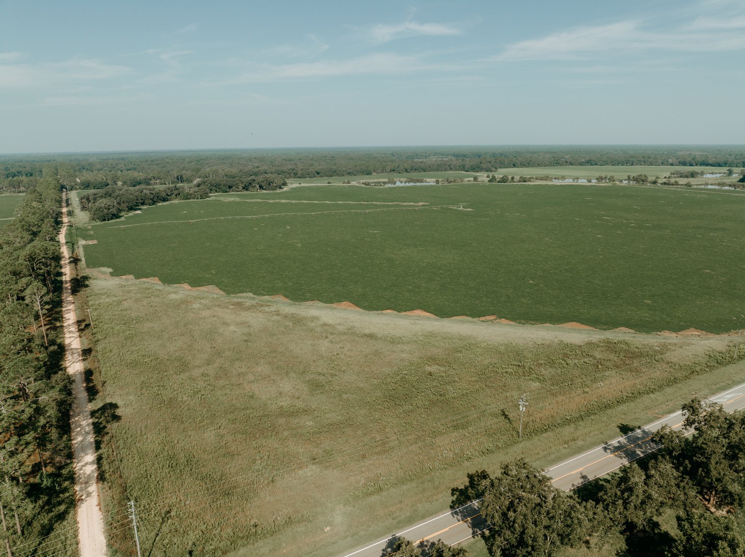 Image for 81.54+/- Acres Located in Calhoun County – The Estate of Curtis B. Adams