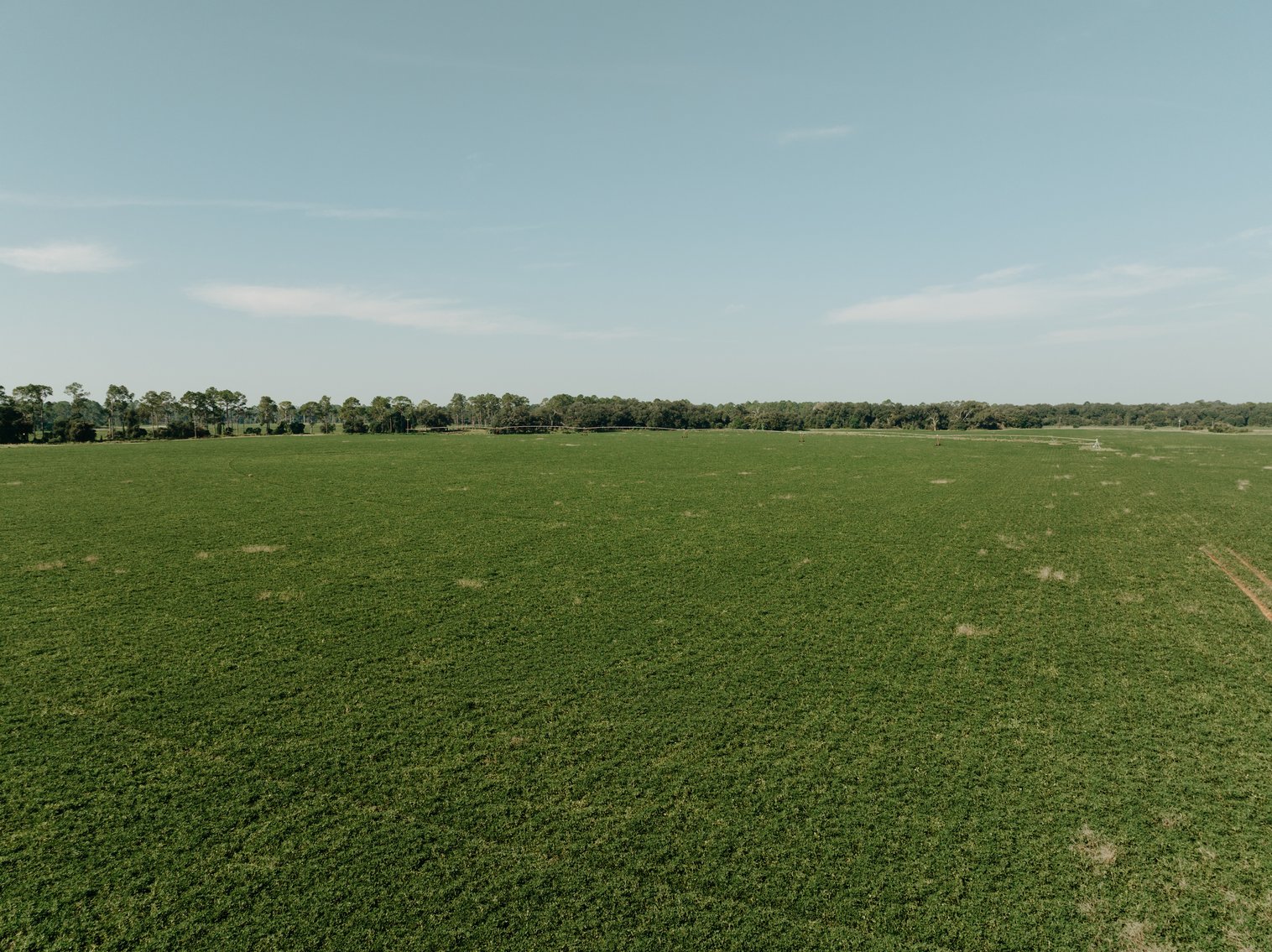 Image for 81.54+/- Acres Located in Calhoun County – The Estate of Curtis B. Adams
