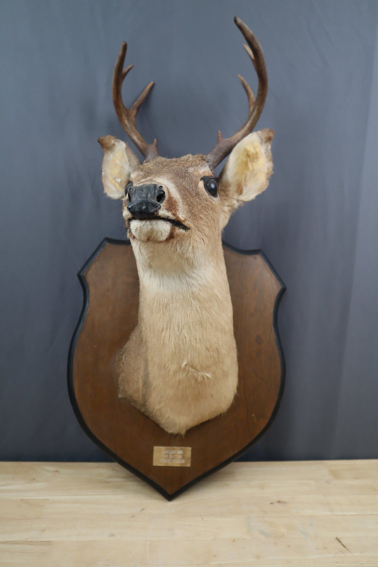 Image for March Gallery - Collectibles, Coins, Furniture and More!