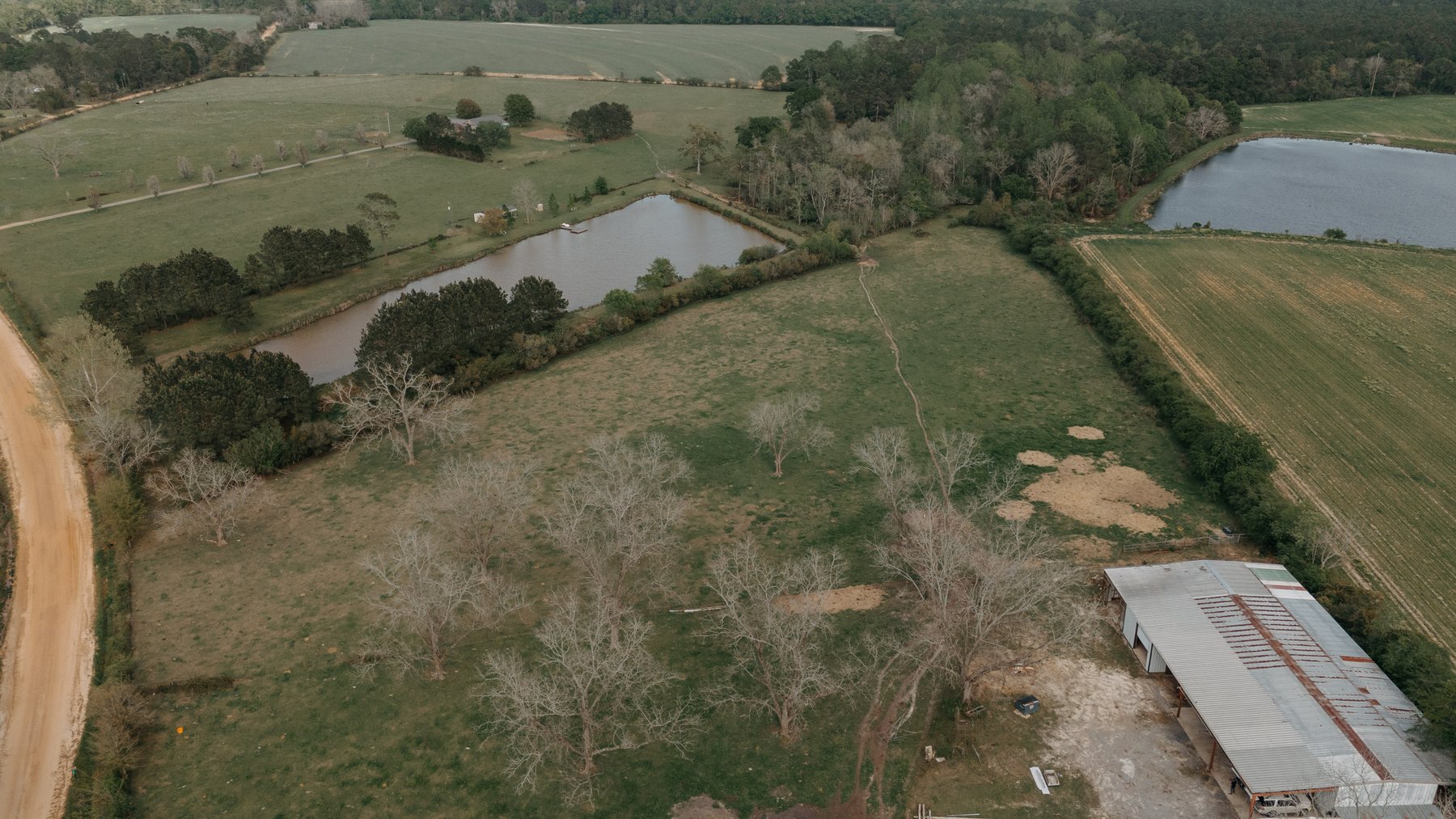 Image for Southern Mitchell County Home on 28.90+/- Acres