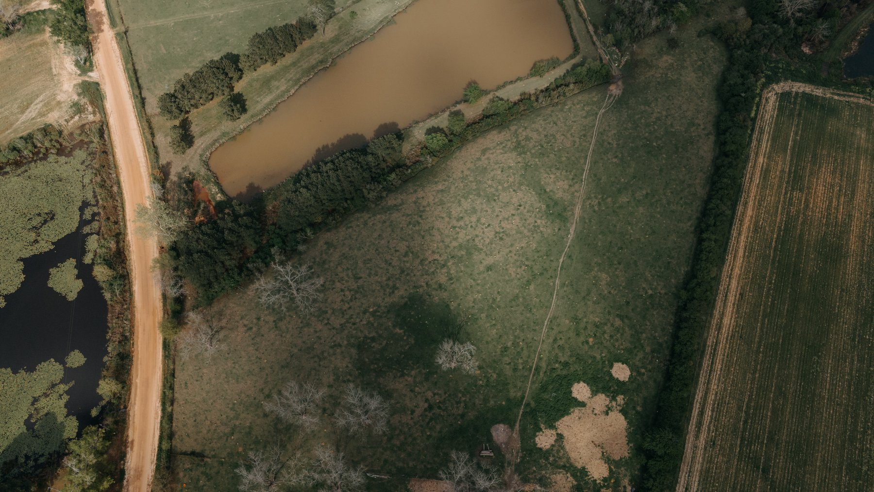 Image for Southern Mitchell County Home on 28.90+/- Acres