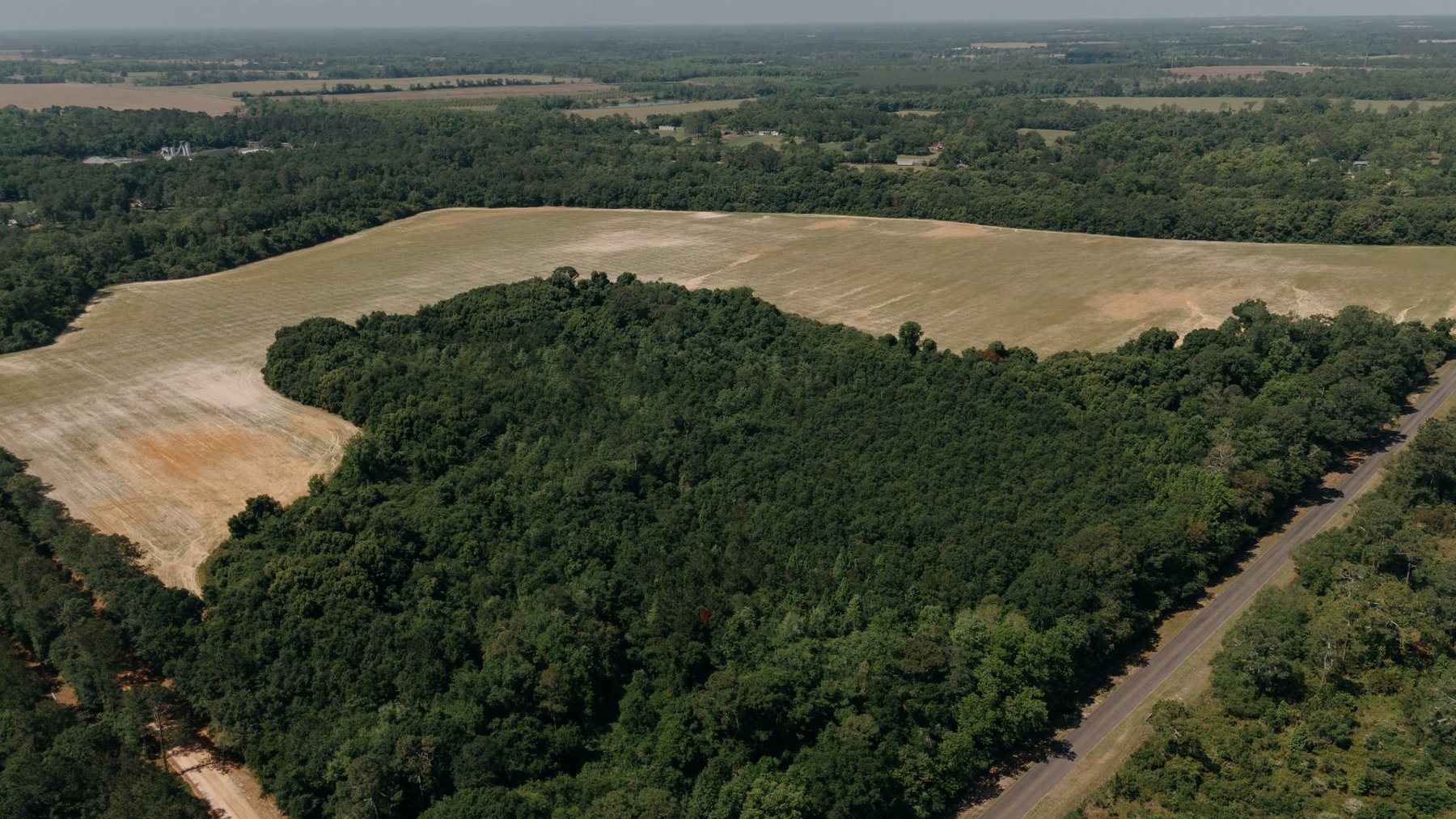 Image for 143 +/- Acre Investment Opportunity in Northern Thomas County, Georgia