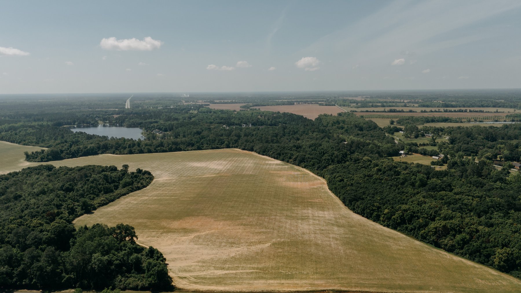Image for 143 +/- Acre Investment Opportunity in Northern Thomas County, Georgia