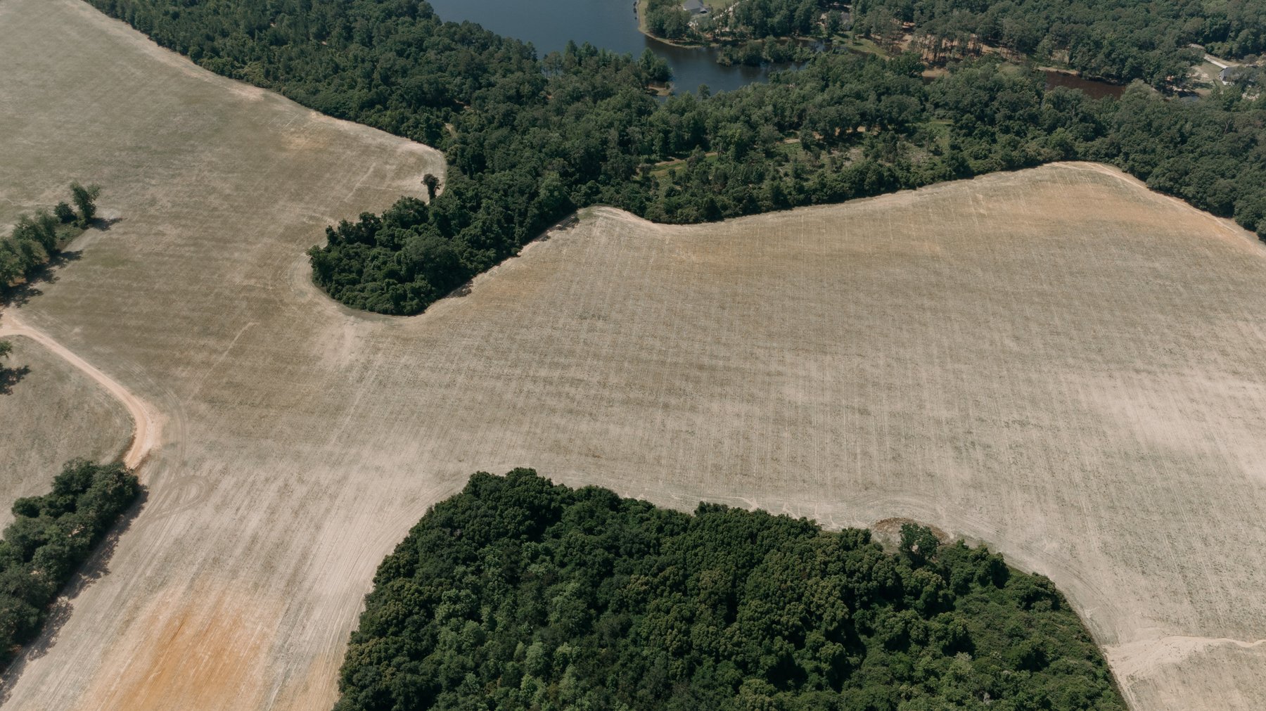 Image for 143 +/- Acre Investment Opportunity in Northern Thomas County, Georgia
