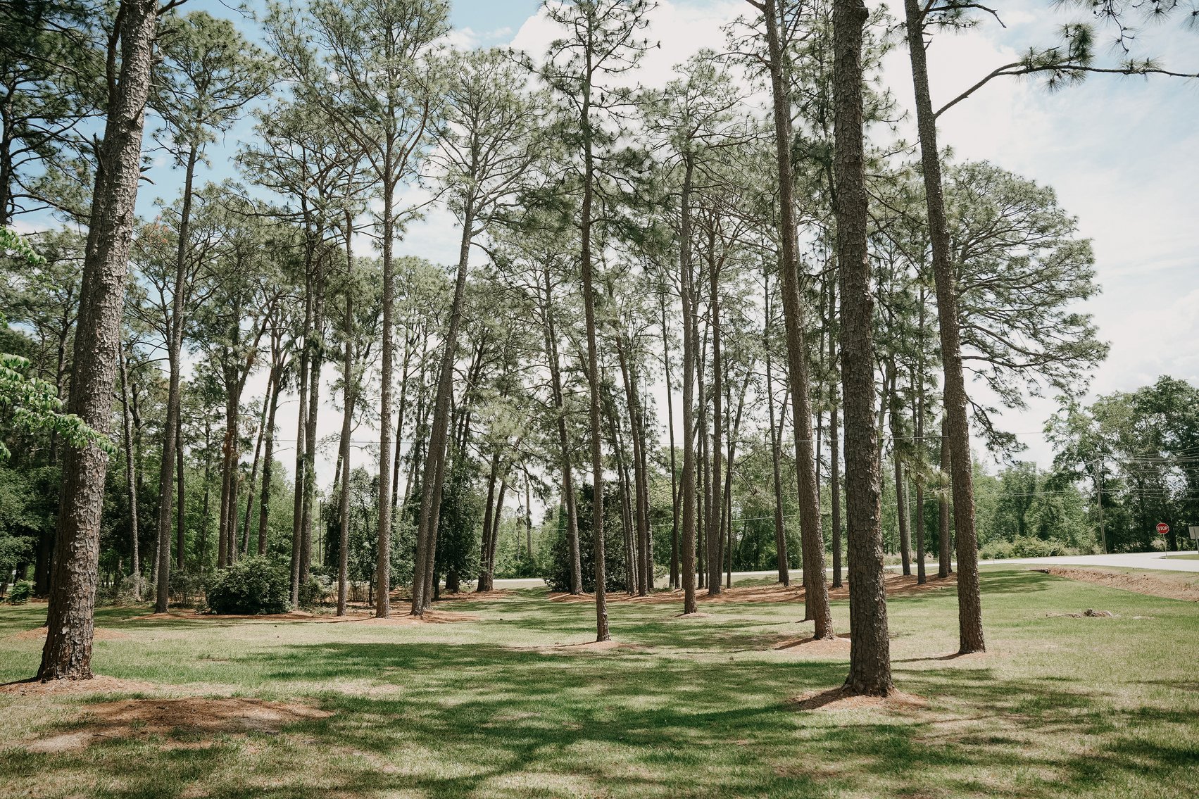 Image for Residential and Investment Real Estate in Worth and Tift County - The Estate of Henry Gordon Davis, Jr.