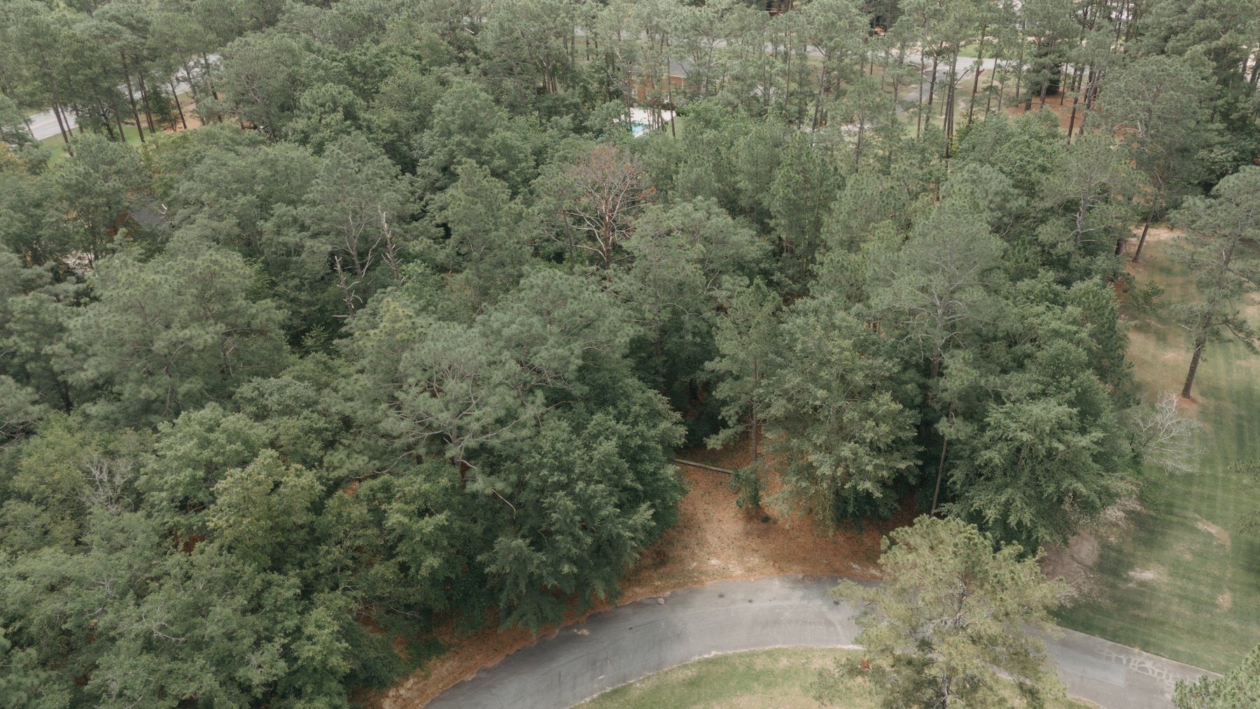 Image for Residential and Investment Real Estate in Worth and Tift County - The Estate of Henry Gordon Davis, Jr.