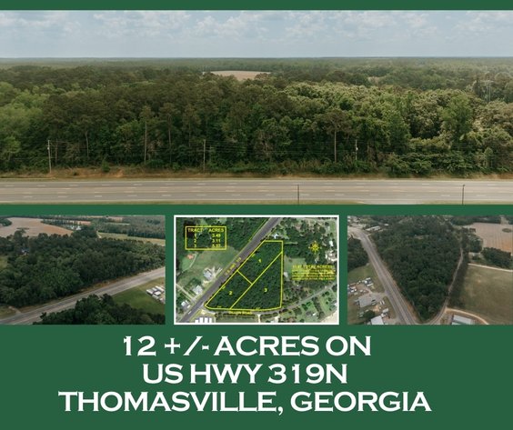 Image for 12 +/- Acres on US Hwy 319 N - Margaret Ragin Estate