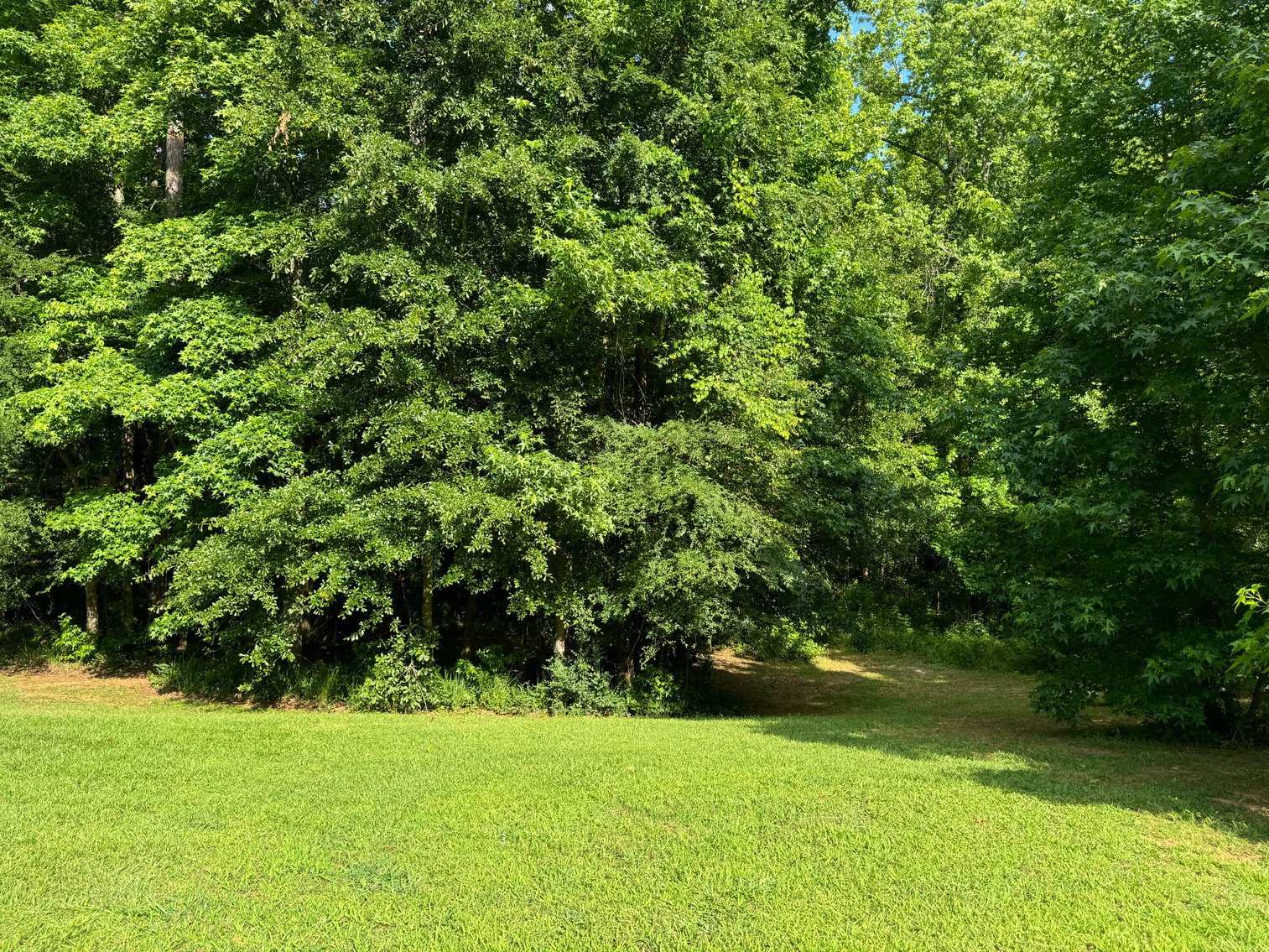 Image for Farrington Subdivision Investment Auction: 1.52 Acres Residential Lot 