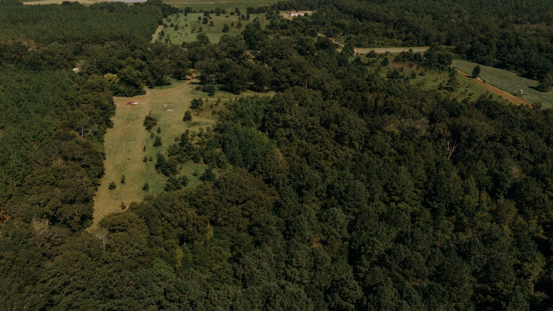 Image for 77.2 +/- Acre Sumter County Retreat: Restored Farmhouse, Hunting Land, and Timber Offered in Four Tracts