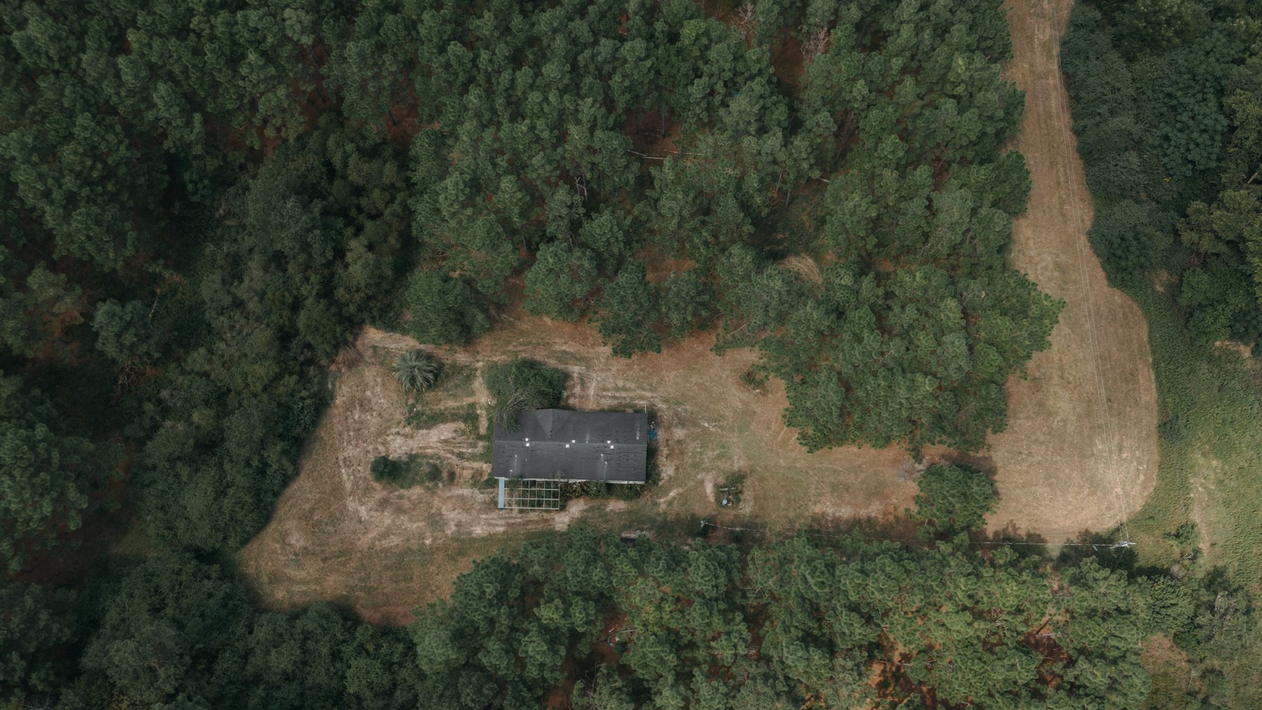 Image for 77.2 +/- Acre Sumter County Retreat: Restored Farmhouse, Hunting Land, and Timber Offered in Four Tracts