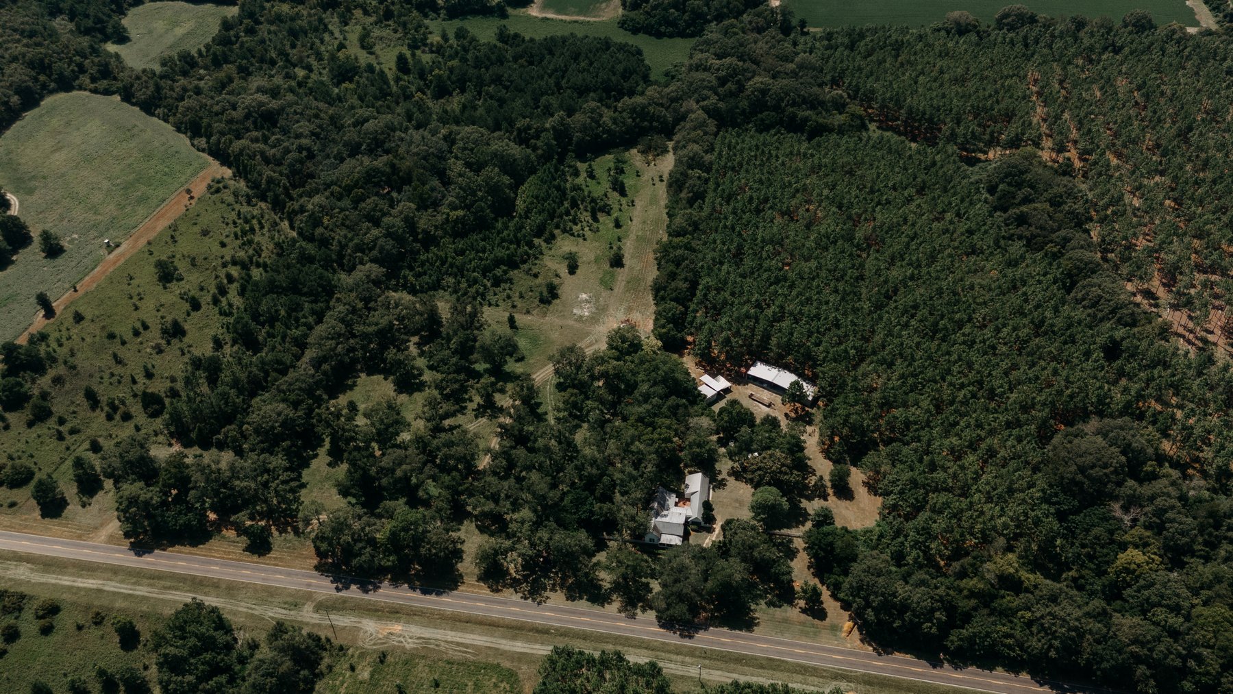 Image for 77.2 +/- Acre Sumter County Retreat: Restored Farmhouse, Hunting Land, and Timber Offered in Four Tracts