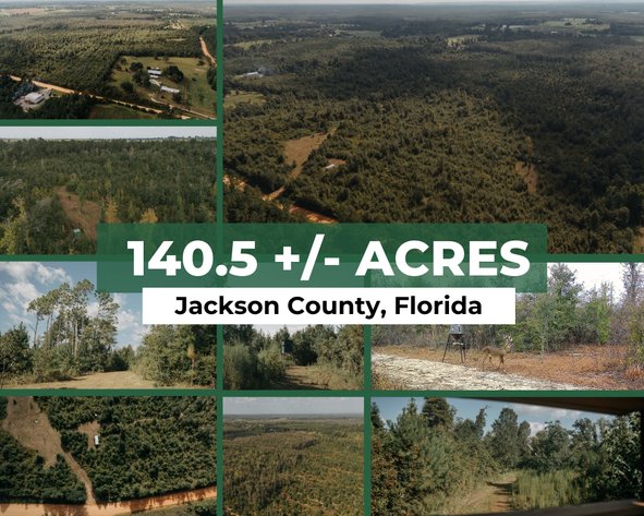 Image for 140.5 +/-  Acre Recreational Tract Jackson County, Florida