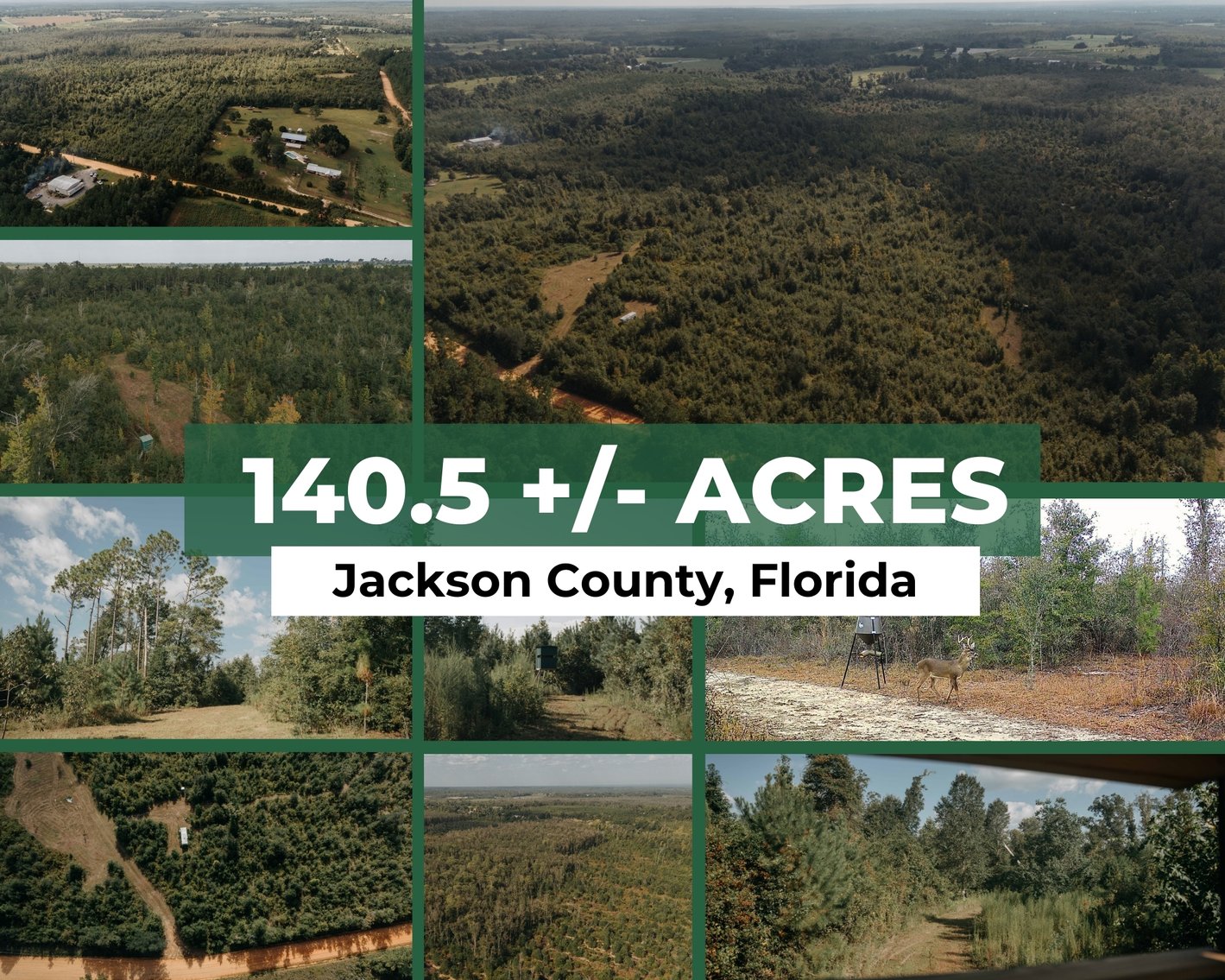 Image for 140.5 +/-  Acre Recreational Tract Jackson County, Florida