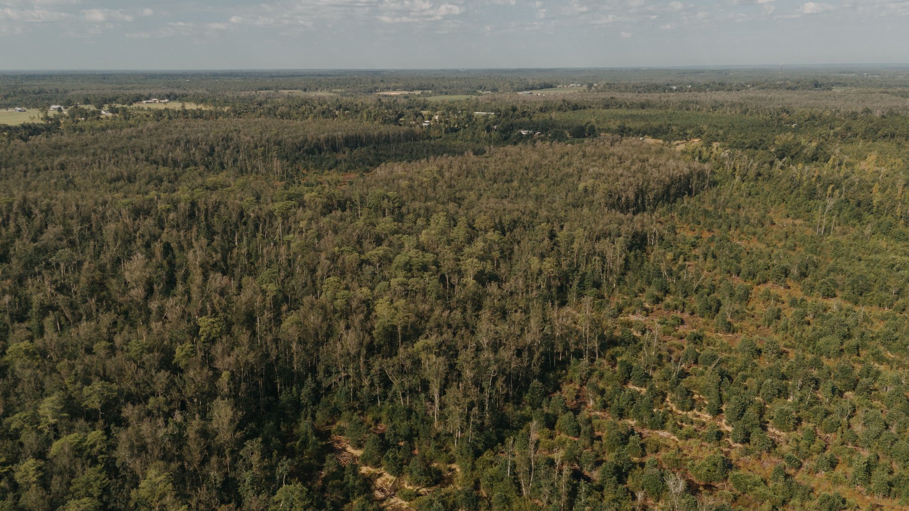 Image for 140.5 +/-  Acre Recreational Tract Jackson County, Florida