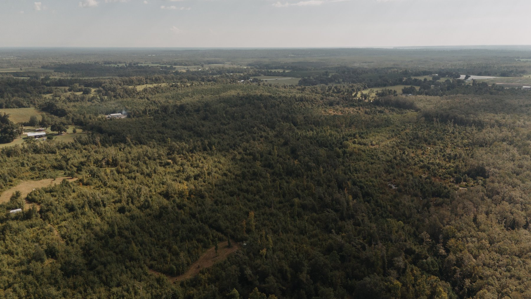 Image for 140.5 +/-  Acre Recreational Tract Jackson County, Florida