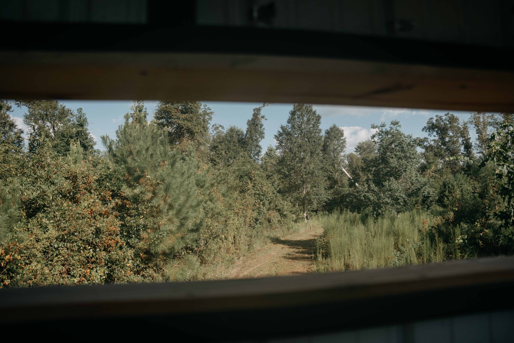 Image for 140.5 +/-  Acre Recreational Tract Jackson County, Florida