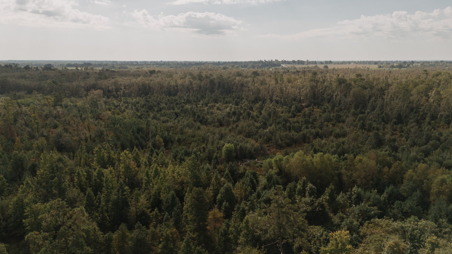 Image for 140.5 +/-  Acre Recreational Tract Jackson County, Florida