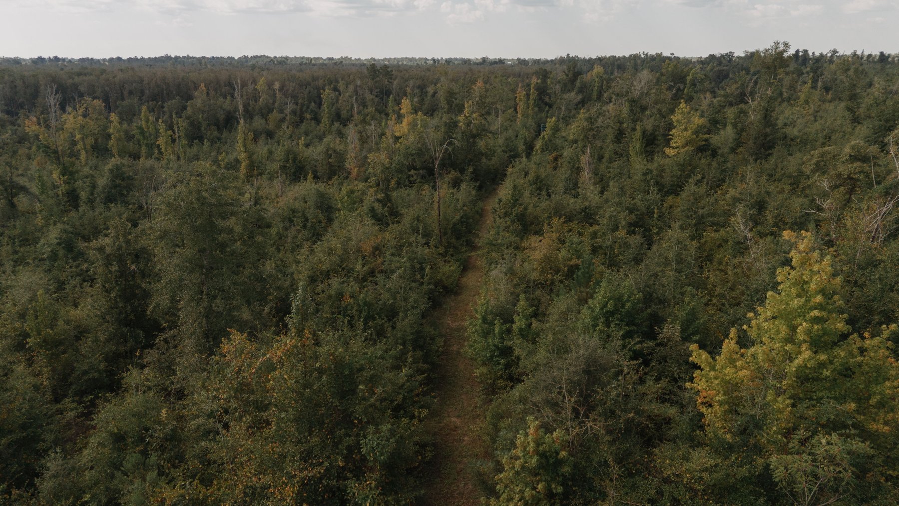 Image for 140.5 +/-  Acre Recreational Tract Jackson County, Florida