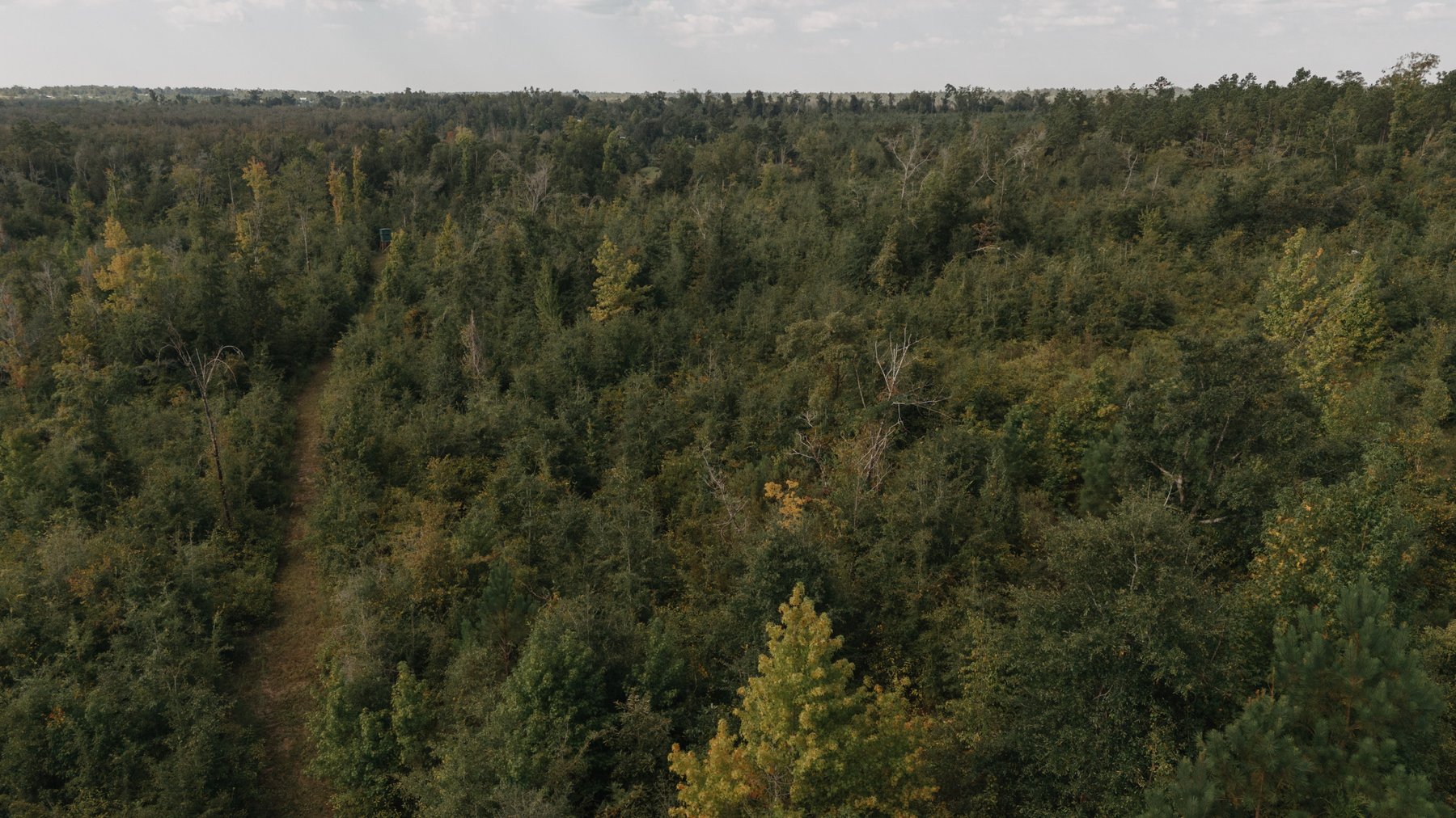 Image for 140.5 +/-  Acre Recreational Tract Jackson County, Florida