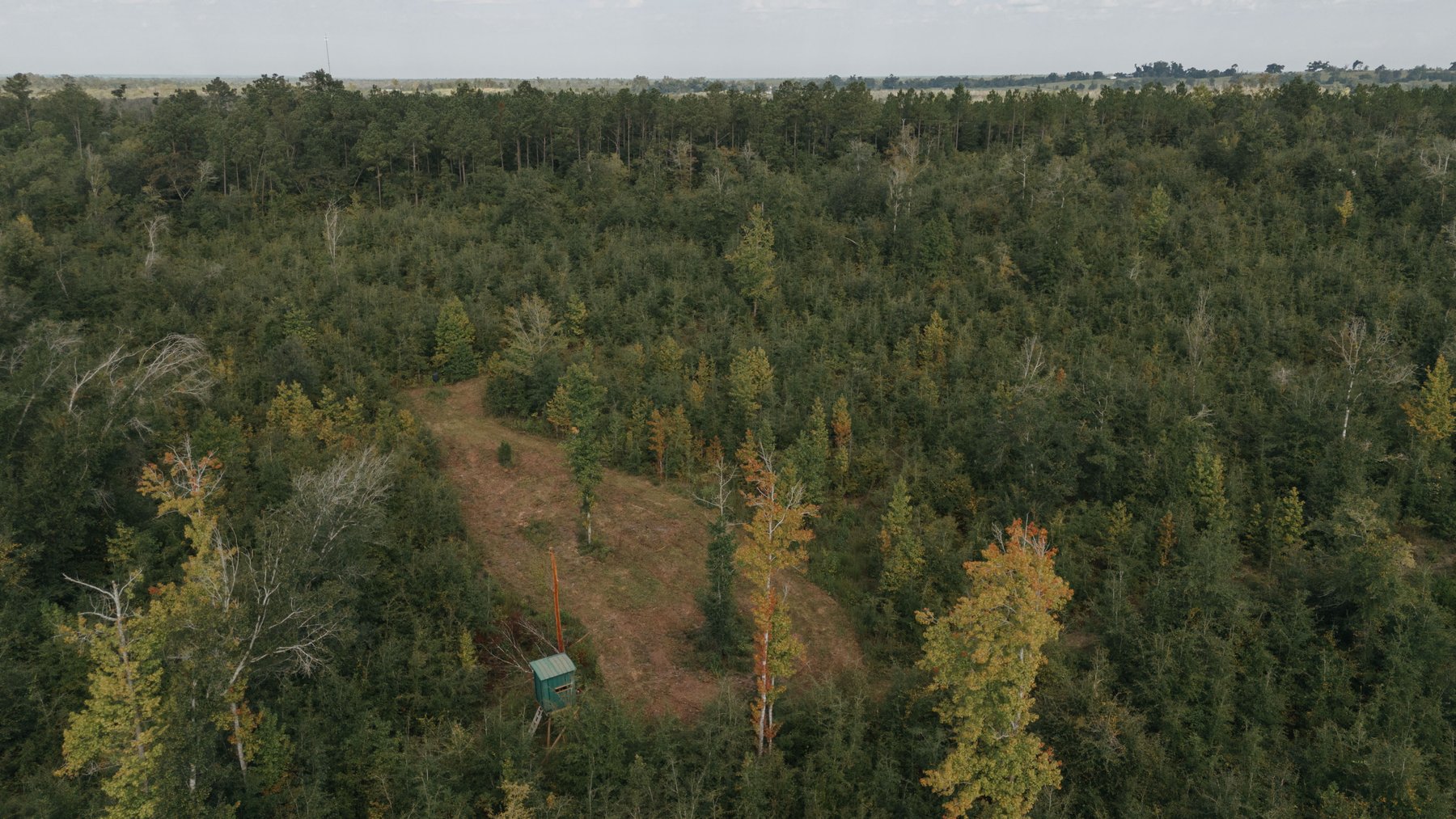 Image for 140.5 +/-  Acre Recreational Tract Jackson County, Florida