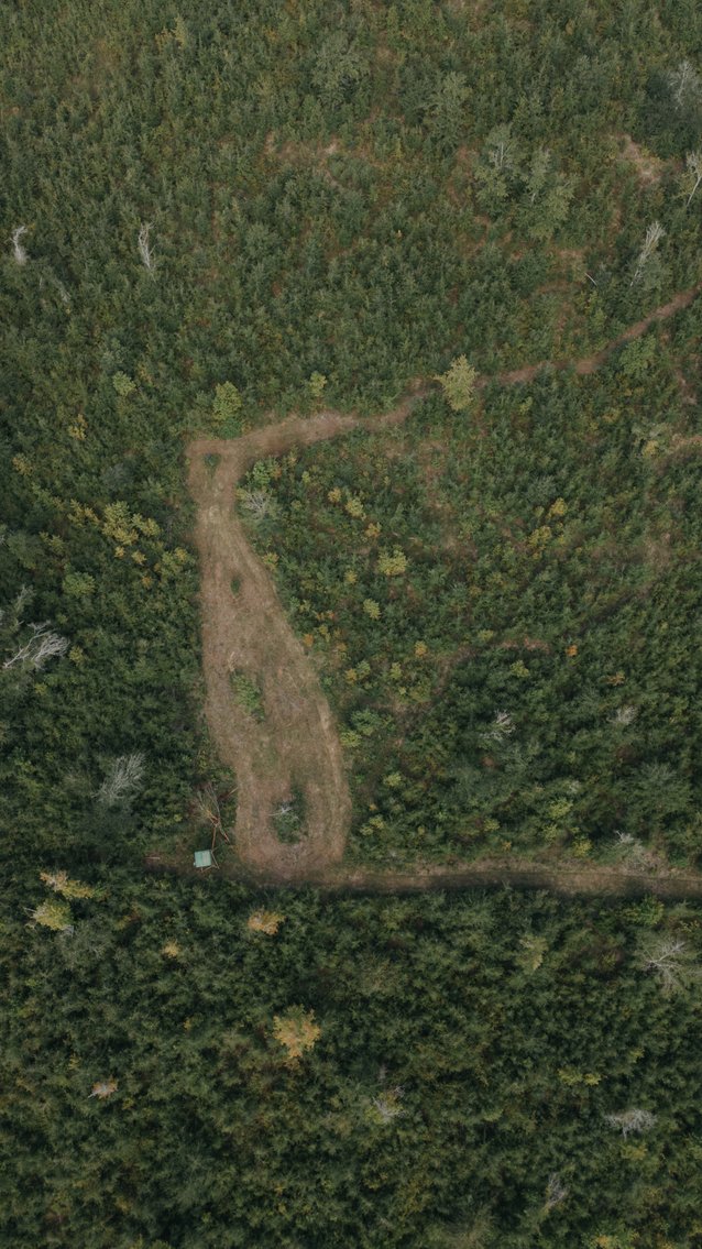 Image for 140.5 +/-  Acre Recreational Tract Jackson County, Florida